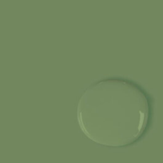 Annie Sloan – Chalk Paint™: Capability Green - Image 2
