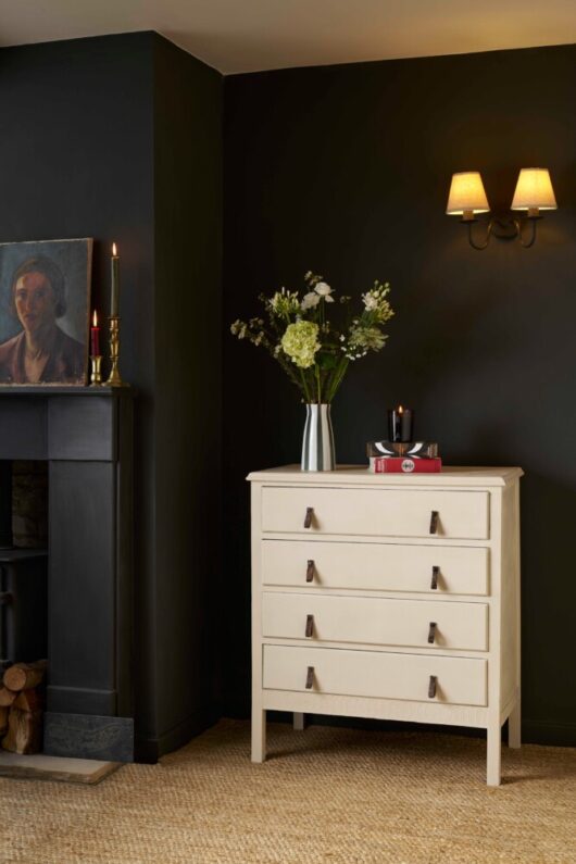 Annie Sloan – Chalk Paint™: Canvas - Image 4